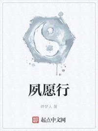 夙愿行封面