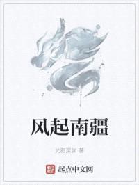 风起南疆封面