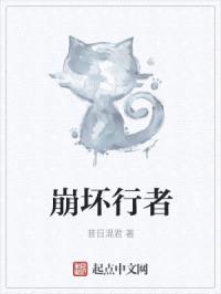 崩坏行者封面