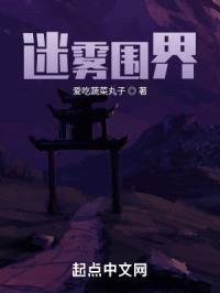 迷雾围界封面