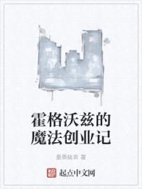 霍格沃兹的魔法创业记封面