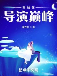 我站在导演巅峰封面