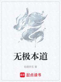无极本道封面