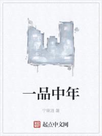 一品中年封面