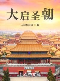 大启圣朝封面