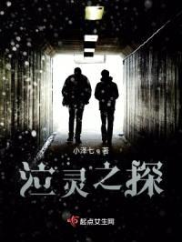泣灵之探封面