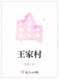 王家村封面