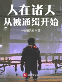 人在诸天，从被通缉开始封面