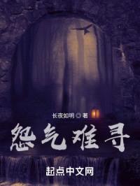 怨气难寻封面
