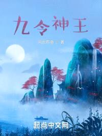 九令之主平天下封面