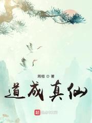 道成真仙封面
