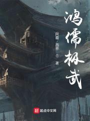 鸿儒极武封面