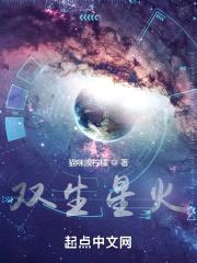 双生星火封面