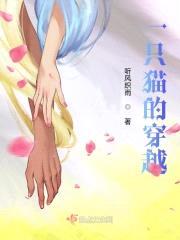 一只猫的穿越封面