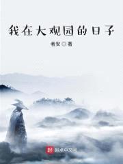 我在大观园的日子封面