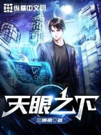 天眼之下封面