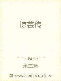 惊芸传封面