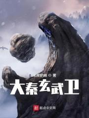 大秦玄武卫封面
