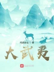 大武夷封面