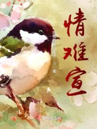 情难宣封面