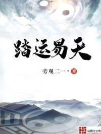 踏运易天封面
