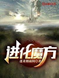 进化魔方封面