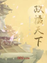 政摄天下封面
