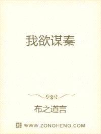 窃秦封面