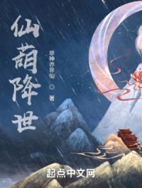 仙葫降世封面