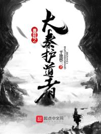 秦时之大秦护道者封面