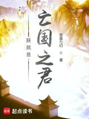 朕就是亡国之君封面