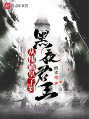 从傀儡皇子到黑夜君王封面
