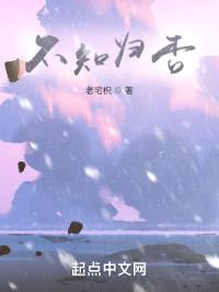 不知归否封面