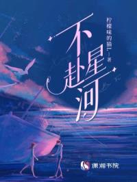不赴星河封面