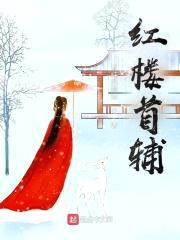 红楼首辅封面