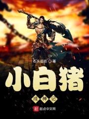 小白猪成神记封面