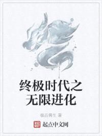 终极时代之无限进化封面