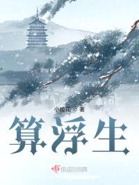 算浮生封面