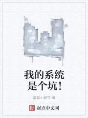 我的系统是个坑！封面