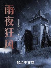 雨夜狂风封面