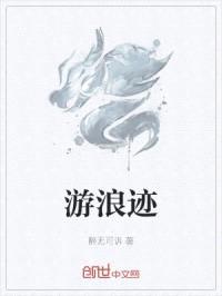 游浪迹封面
