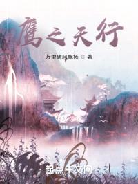 鹰之天行封面