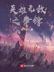 英雄无敌之争锋封面