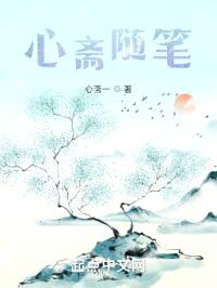 心斋随笔封面