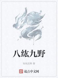 八纮九野封面