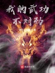 我的武功不对劲封面