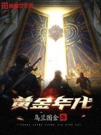 重生黄金年代封面