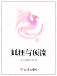 狐狸与顶流封面