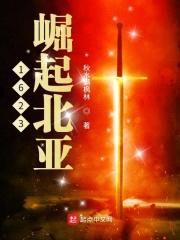 1623崛起北亚封面