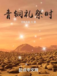 青铜礼祭时封面